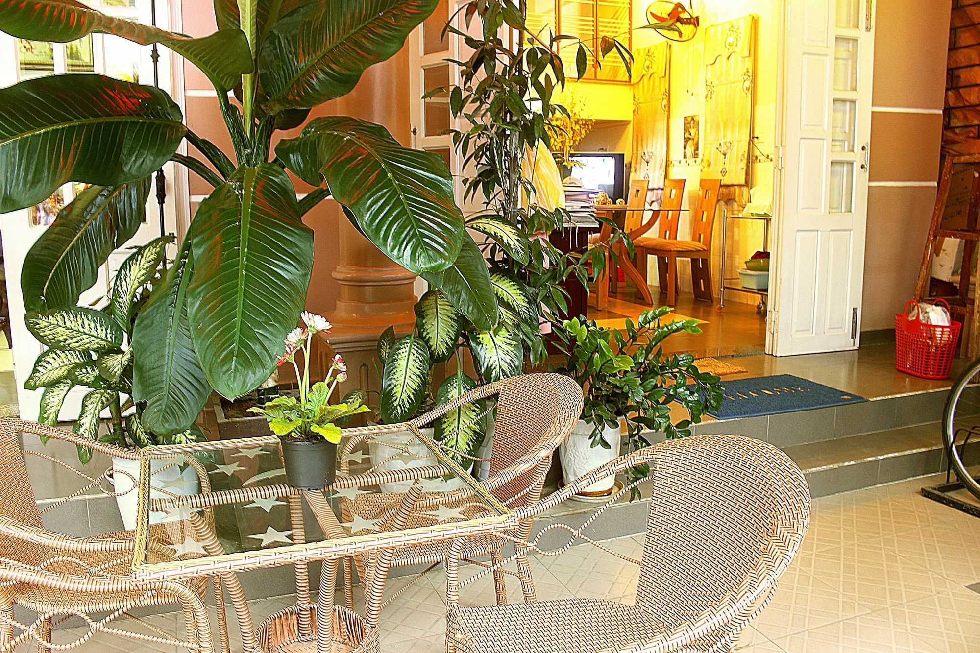 Quy Long Homestay Хой Ан Екстериор снимка